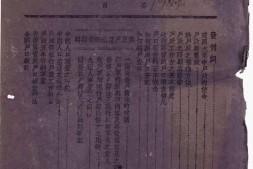 老报纸–《户政导报》1945-1948年合集 电子版