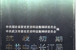 老图书–《抗战初期中共中央长江局》电子版合集