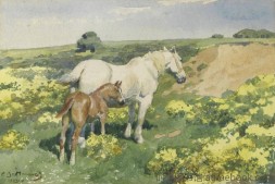 书画-经典珍藏印象派油画合集2000幅