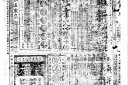 《中华新报》1915年影印版合集 电子版.