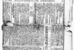 《新蜀报》(重庆)1926-1931年影印版合集 电子版.