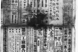《新蜀报》(重庆)1939年影印版合集 电子版.