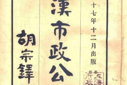 老报纸–《武汉市政公报》(汉口)1928-1929年合集 电子版