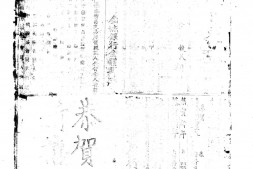 《神州日报》(上海)1921-1924,1926,1936年合集 电子版.