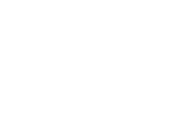 老图书–《露露的胜利》电子版合集