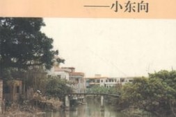 老图书–《革命堡垒村——小东向》电子版合集