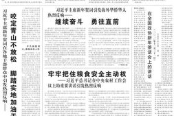 《人民日报》2021年高清影印版 PDF电子版.
