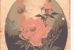 老期刊–《小说月报》(上海)1910-1923年合集 电子版