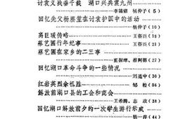 老图书–《湖口文史资料选辑_第4辑》电子版合集