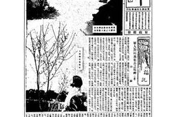 老报纸–《精*周报》(长春)1934-1936年