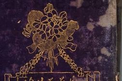 老图书–《紫兰花片》电子版合集